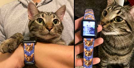 Anpassat djurporträtt Apple Watch Band,
